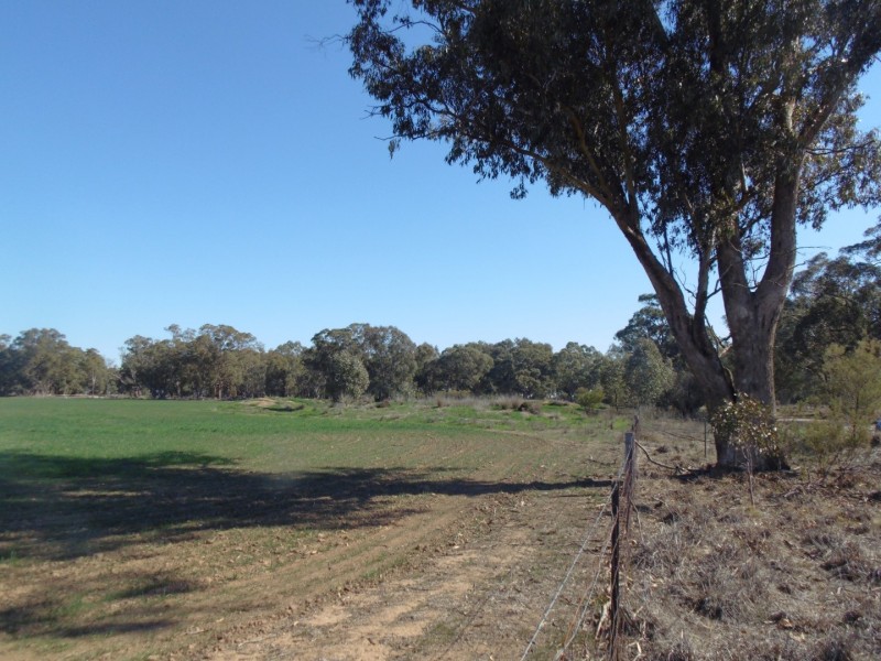 335 Watts Lane, Tichborne NSW 2870