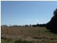 290 Back Yamma Road, Parkes NSW 2870