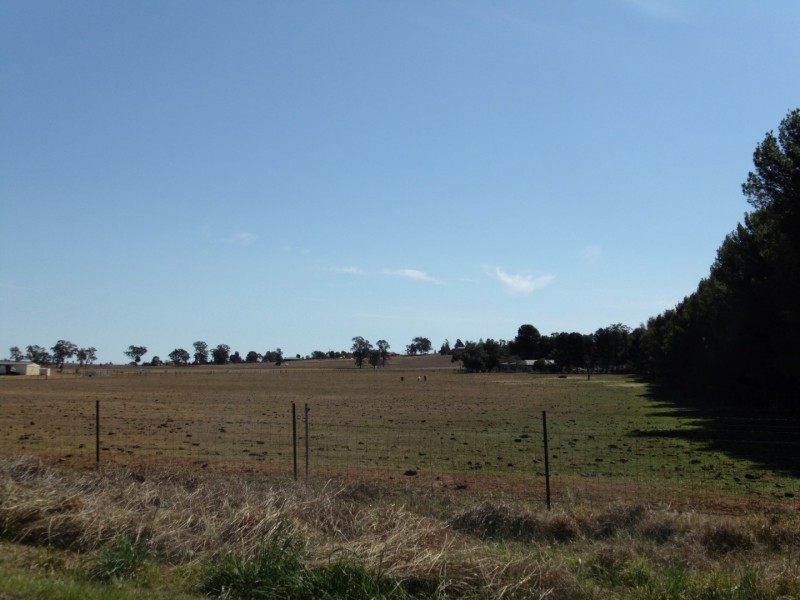 290 Back Yamma Road, Parkes NSW 2870
