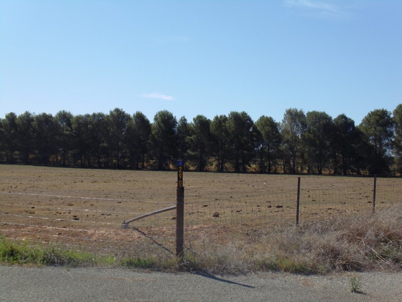 290 Back Yamma Road, Parkes NSW 2870