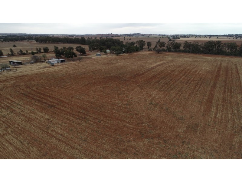 501 Henry Parkes Way, Parkes NSW 2870