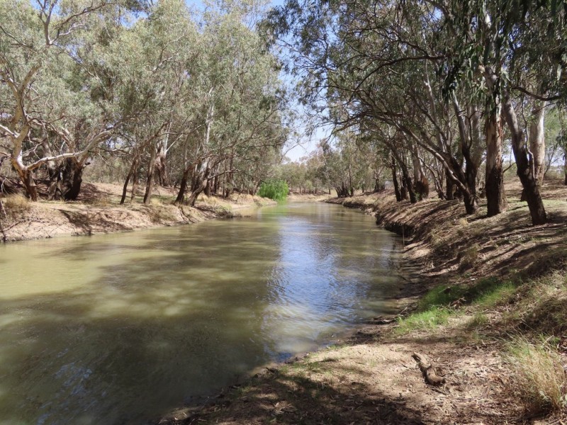 2 Molong Street, Condobolin NSW 2877