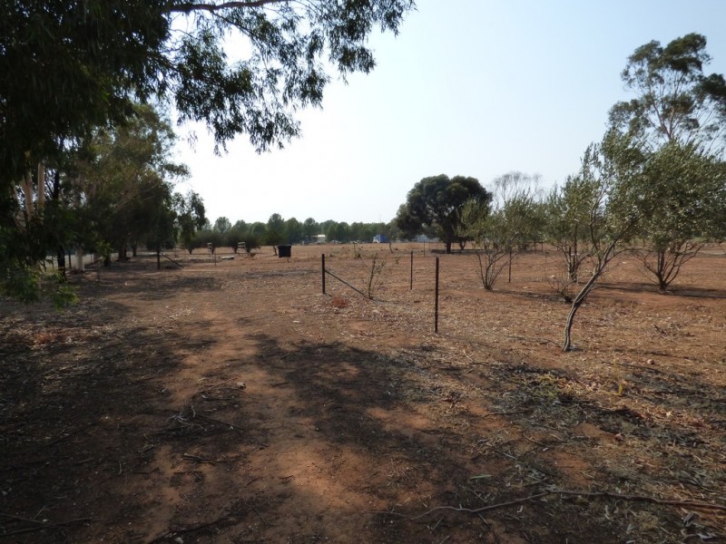 251 Farnell Street, Forbes NSW 2871