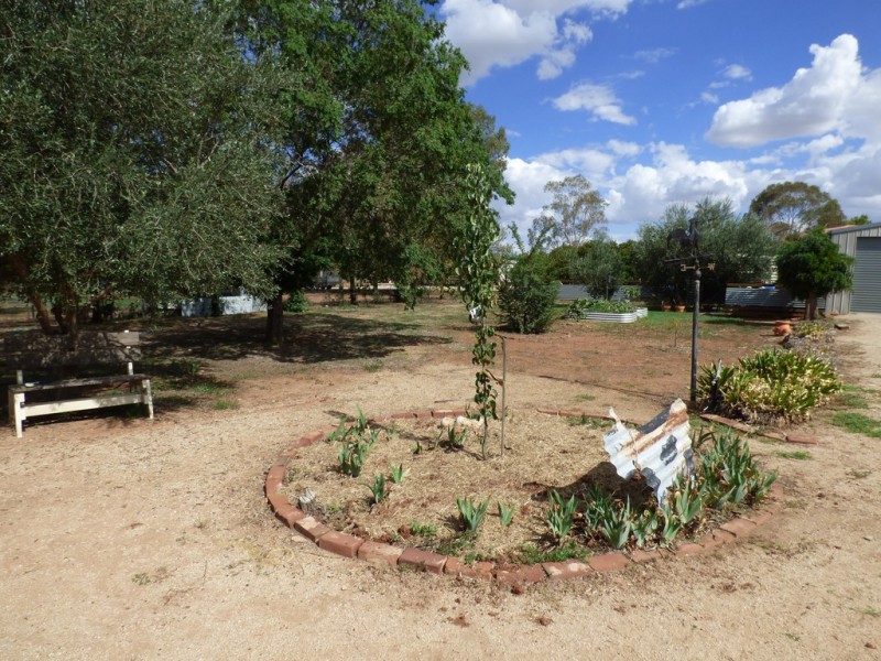 251 Farnell Street, Forbes NSW 2871