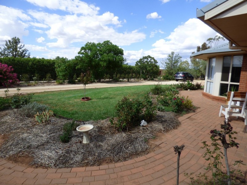 251 Farnell Street, Forbes NSW 2871