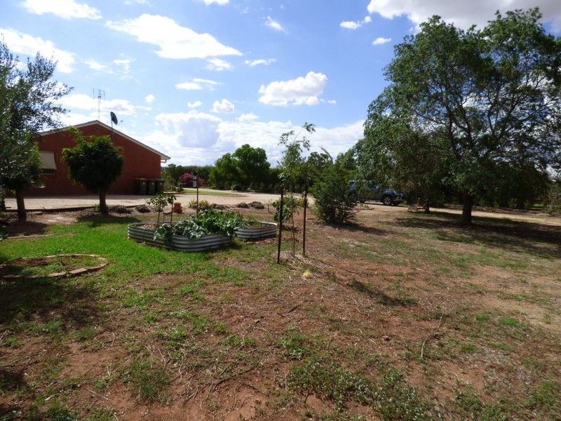 251 Farnell Street, Forbes NSW 2871