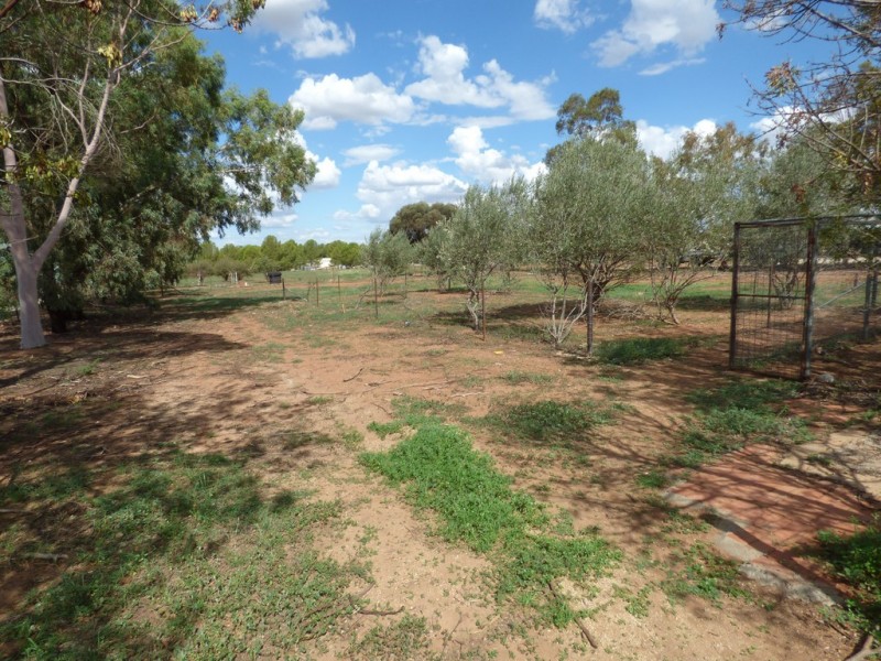 251 Farnell Street, Forbes NSW 2871