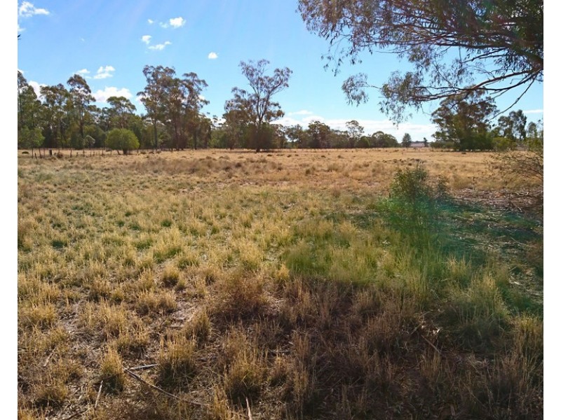 8831 The Bogan Way, Trundle NSW 2875