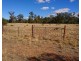 8831 The Bogan Way, Trundle NSW 2875