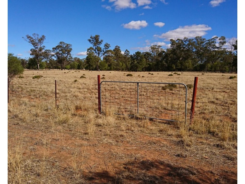 8831 The Bogan Way, Trundle NSW 2875