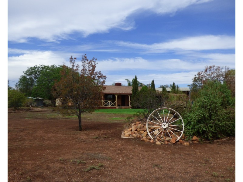 8831 The Bogan Way, Trundle NSW 2875