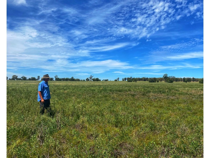 ‘Boomi’ 211 Larkings Road, Tottenham NSW 2873