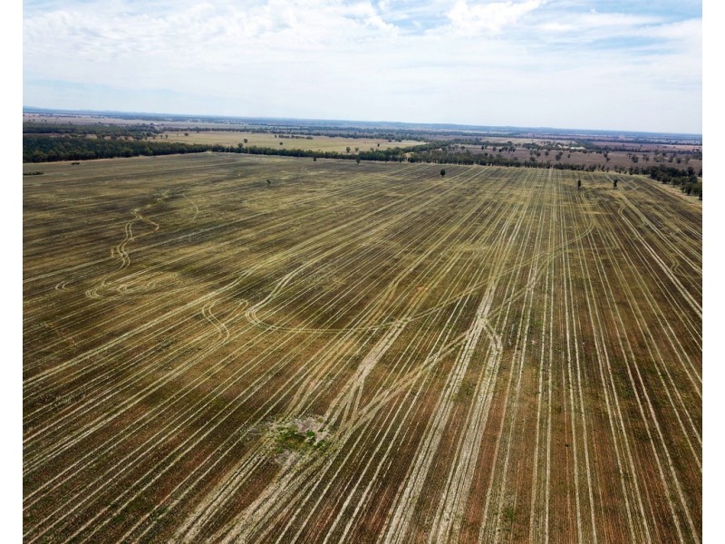 ‘Boomi’ 211 Larkings Road, Tottenham NSW 2873