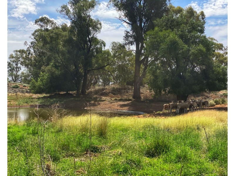 ‘Boomi’ 211 Larkings Road, Tottenham NSW 2873