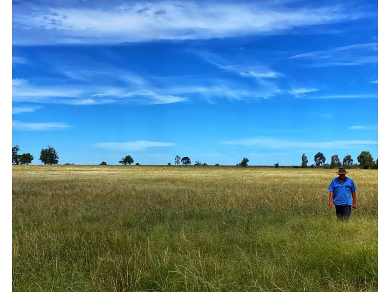 ‘Boomi’ 211 Larkings Road, Tottenham NSW 2873