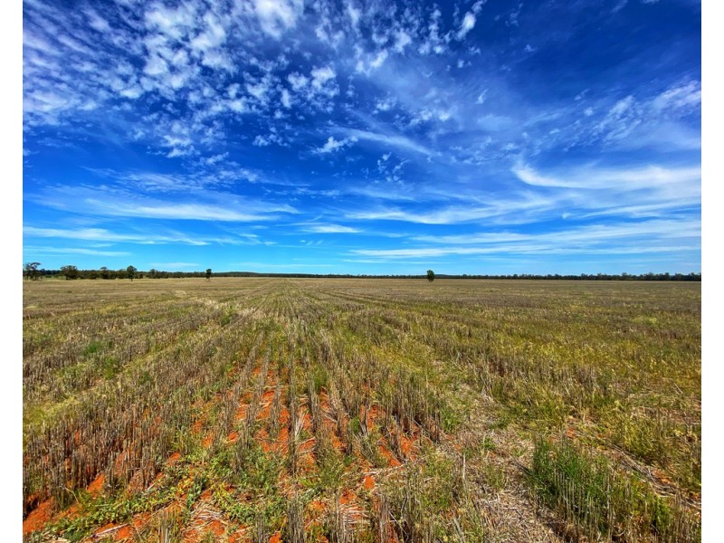 ‘Boomi’ 211 Larkings Road, Tottenham NSW 2873