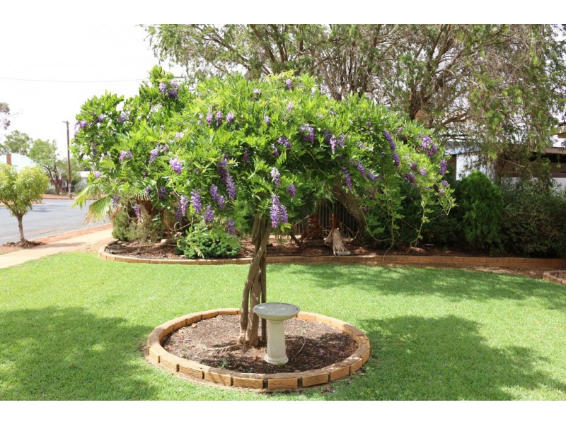 17 Gatenby Street, Condobolin NSW 2877