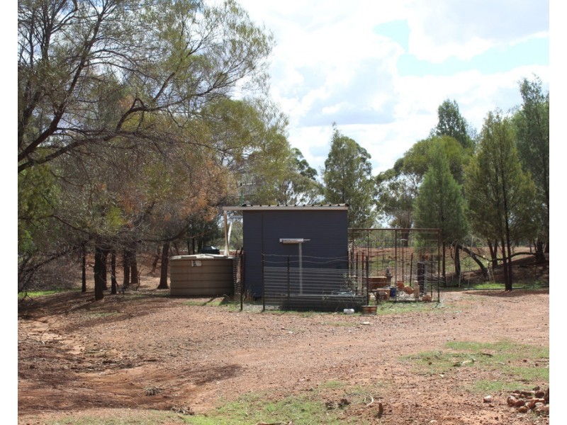 Lot 498 Bivana Street, Peak Hill NSW 2869