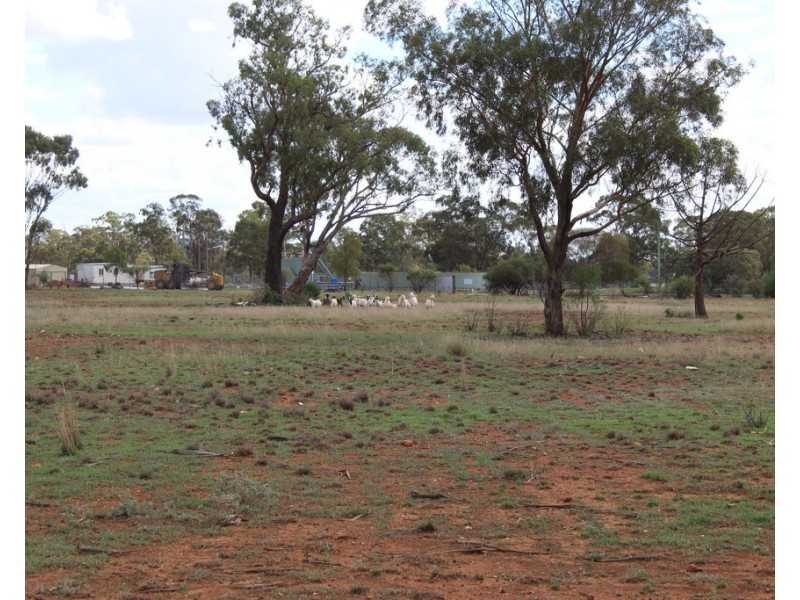 Lot 498 Bivana Street, Peak Hill NSW 2869