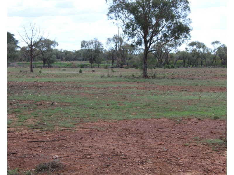 Lot 498 Bivana Street, Peak Hill NSW 2869