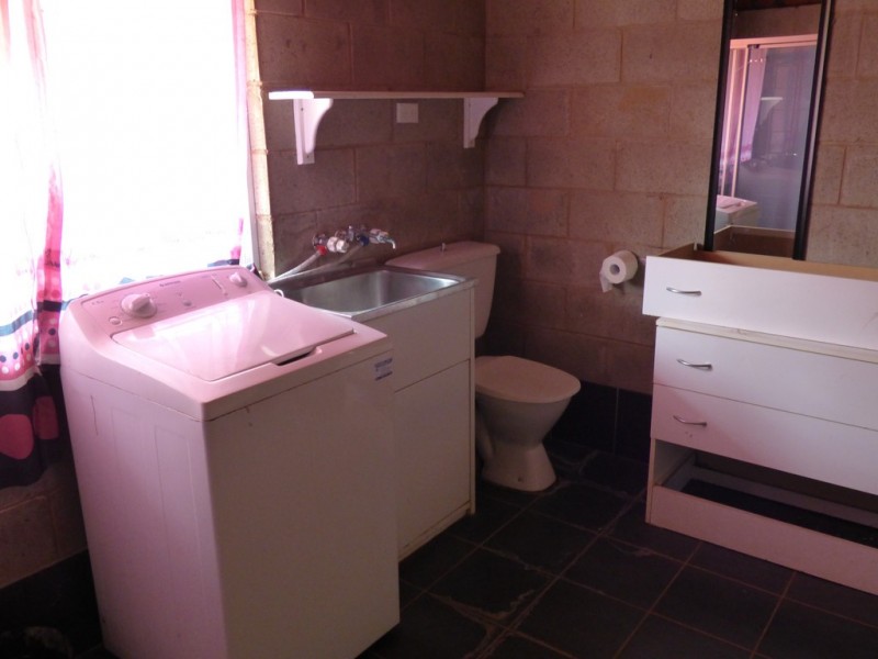 49 Euchie Street, Peak Hill NSW 2869