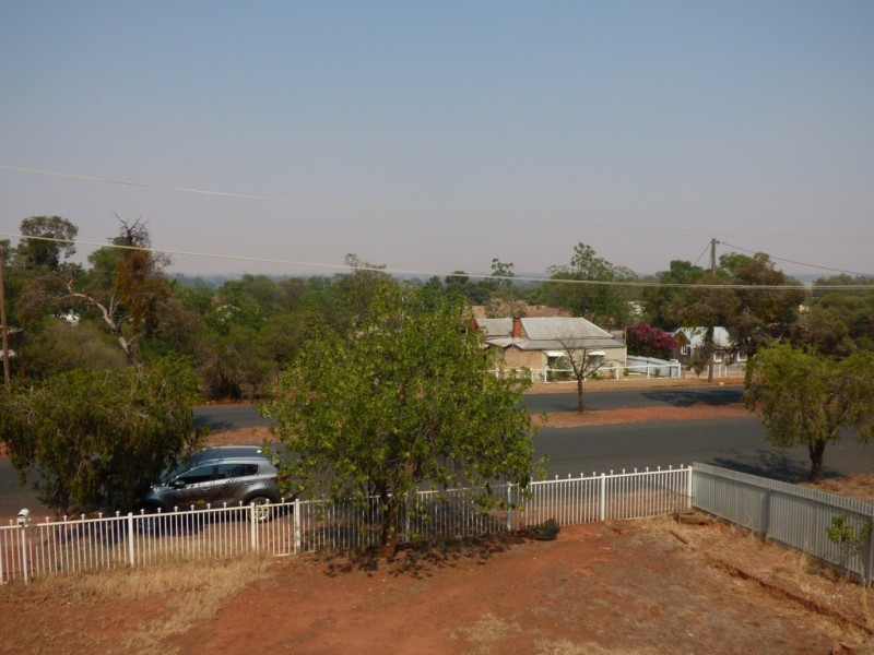 49 Euchie Street, Peak Hill NSW 2869