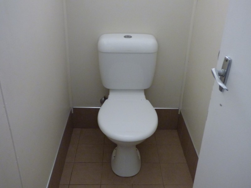 49 Euchie Street, Peak Hill NSW 2869