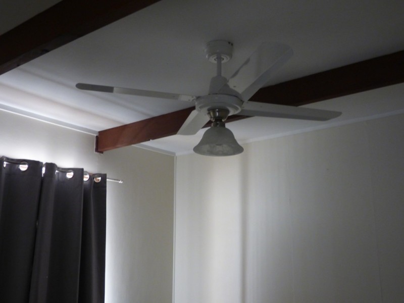 49 Euchie Street, Peak Hill NSW 2869