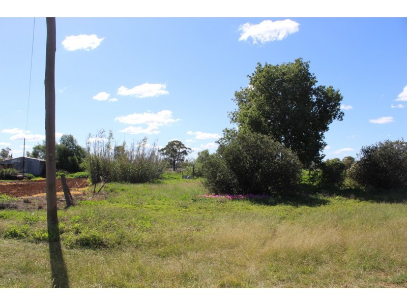 11 Lachlan Street, Bogan Gate NSW 2876
