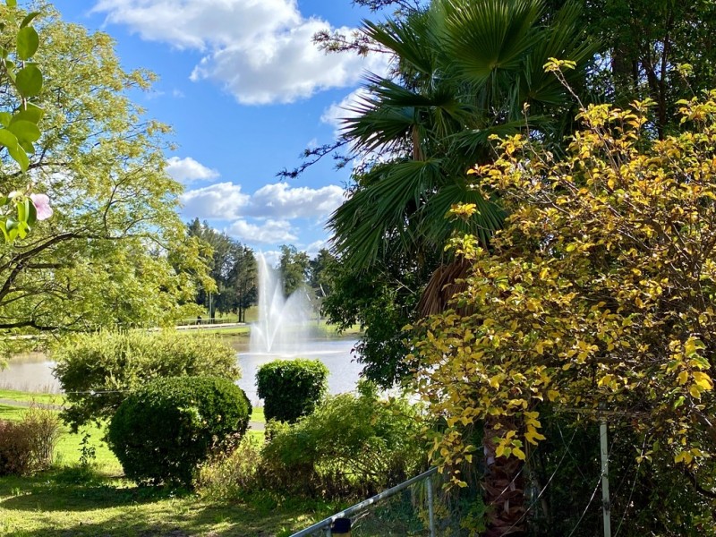 14 Bandon Street, Forbes NSW 2871