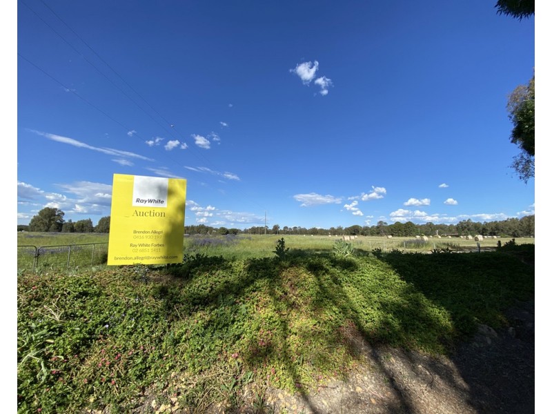 Lot 17 Possum Lane, Forbes NSW 2871