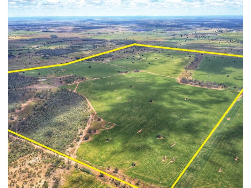 Ioanumba 190 Ootha Road, Trundle NSW 2875