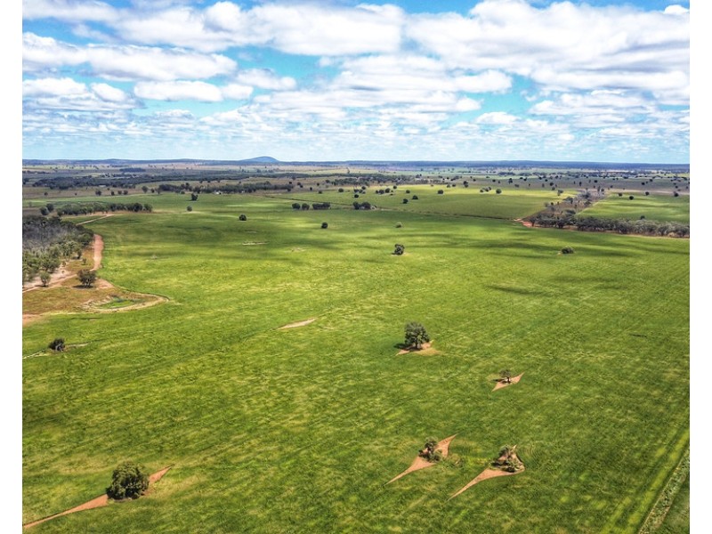 Ioanumba 190 Ootha Road, Trundle NSW 2875