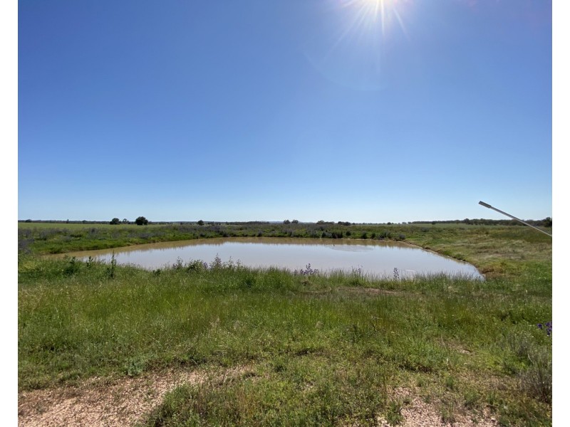 Ioanumba 190 Ootha Road, Trundle NSW 2875