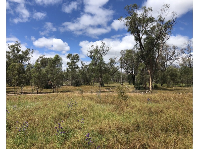 Ioanumba 190 Ootha Road, Trundle NSW 2875