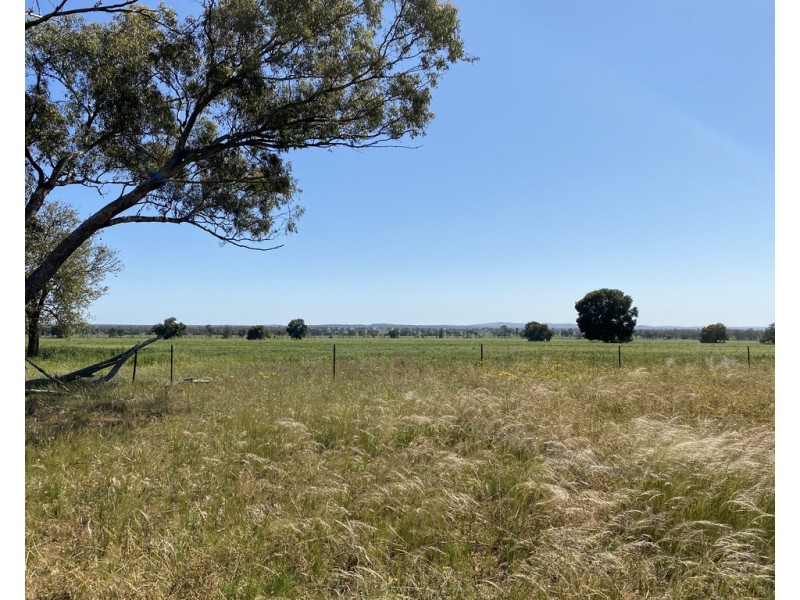 Ioanumba 190 Ootha Road, Trundle NSW 2875