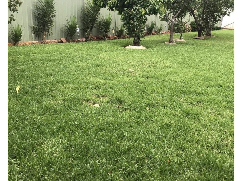 15 Gallop Avenue, Parkes NSW 2870