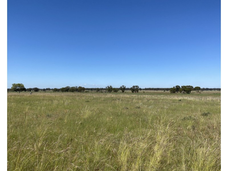 336 Hockey Road, Tullamore NSW 2874