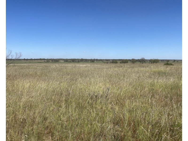 336 Hockey Road, Tullamore NSW 2874