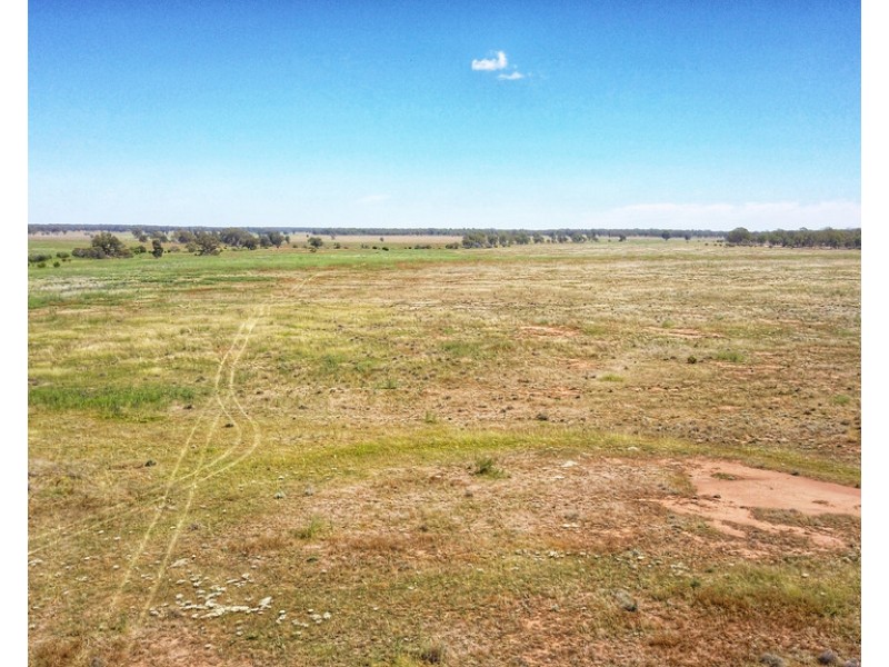 336 Hockey Road, Tullamore NSW 2874