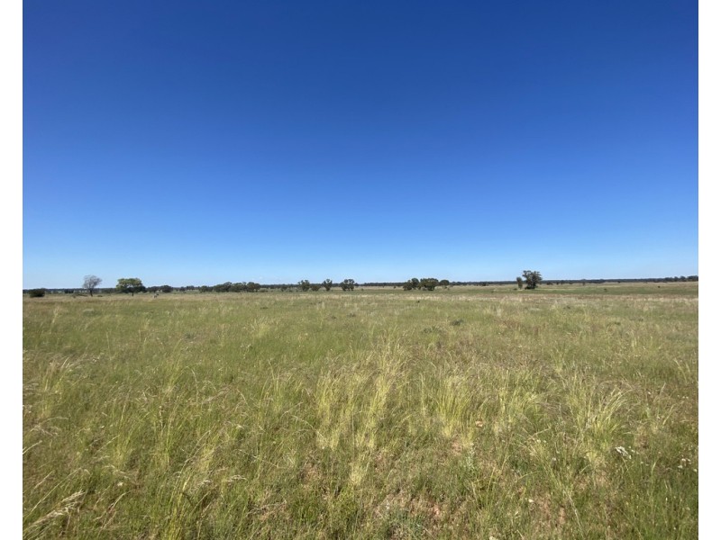 336 Hockey Road, Tullamore NSW 2874