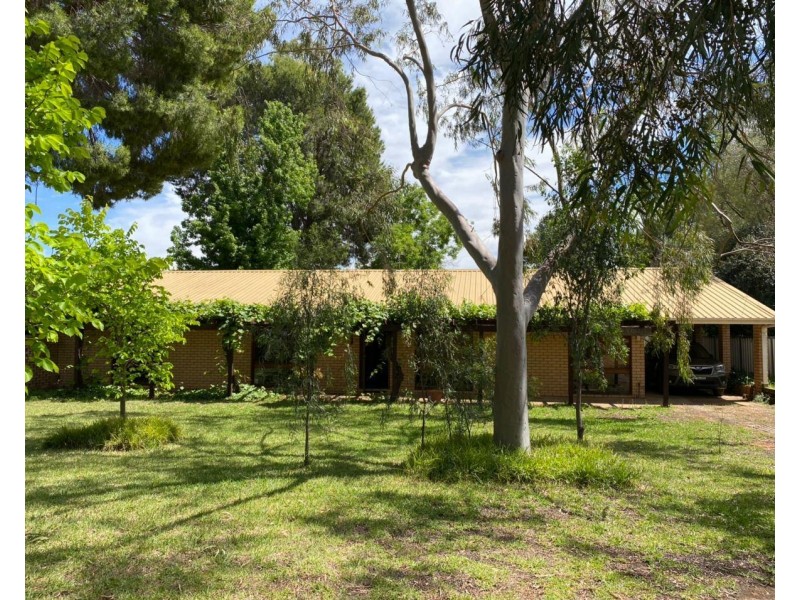 5 Graf Street, Condobolin NSW 2877
