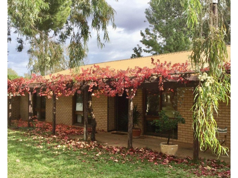 5 Graf Street, Condobolin NSW 2877