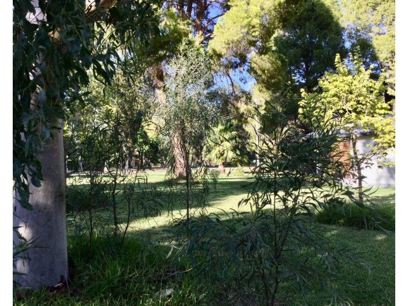 5 Graf Street, Condobolin NSW 2877