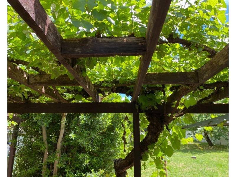 5 Graf Street, Condobolin NSW 2877