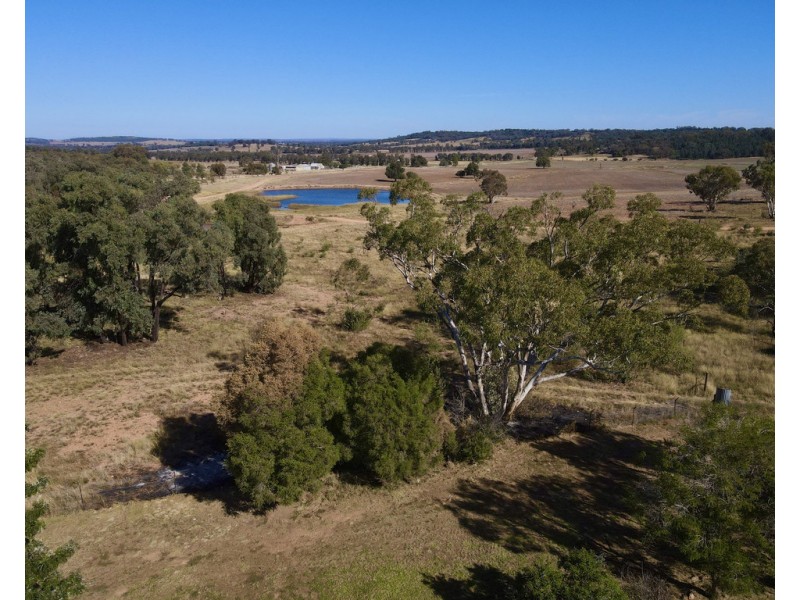 623 Cookamidgera Road, Parkes NSW 2870