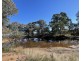 623 Cookamidgera Road, Parkes NSW 2870