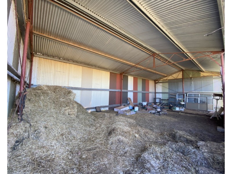 158 Derribong Street, Peak Hill NSW 2869