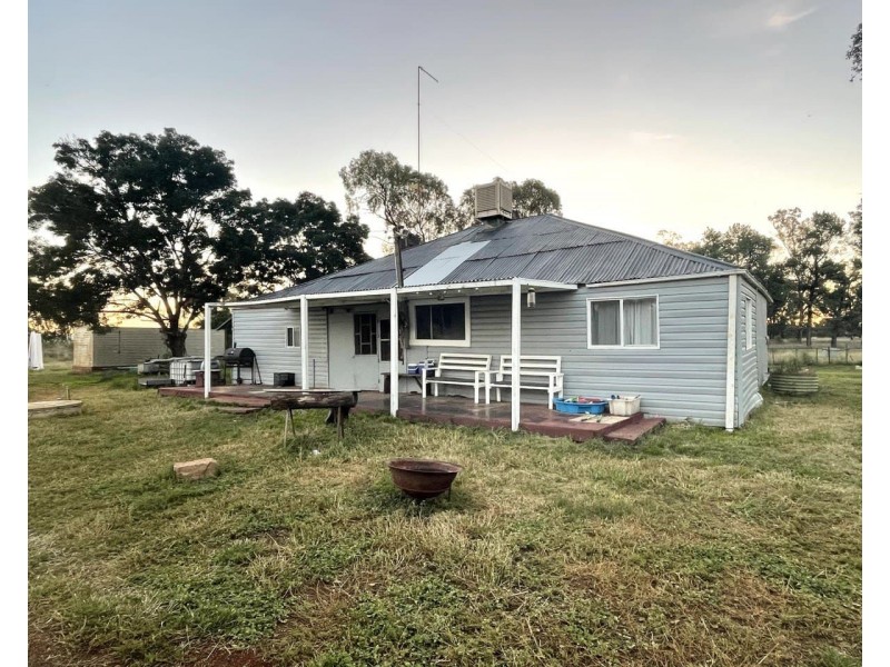 25 Ben Hall Road, Gunningbland NSW 2876