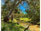8648 Lachlan Valley Way, Condobolin NSW 2877